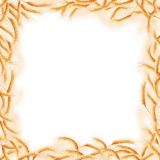 由不同的小麦制成的框架。每股收益10图片下载