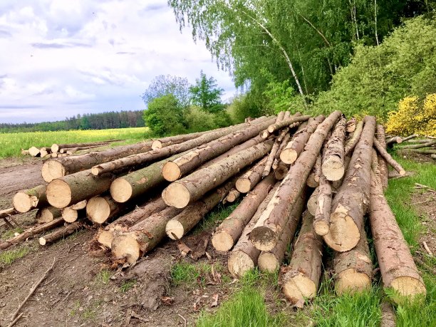 木材业图片下载