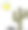仙人掌和太阳图标孤立在白色的背景图片下载