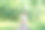 一个女儿和她的老父母在野餐上玩得很开心。图片下载