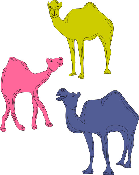 一个家庭迷人的多色骆驼图片下载