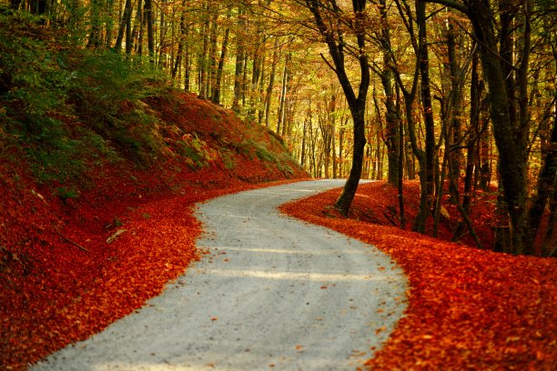 阳光之路图片下载