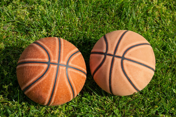 草地上有两个篮球图片下载