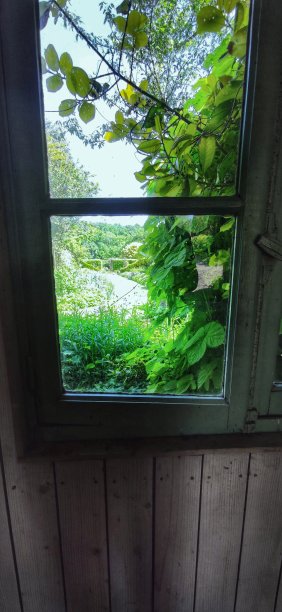 在诺曼底的一扇开窗后的绿色花园在春天。图片下载