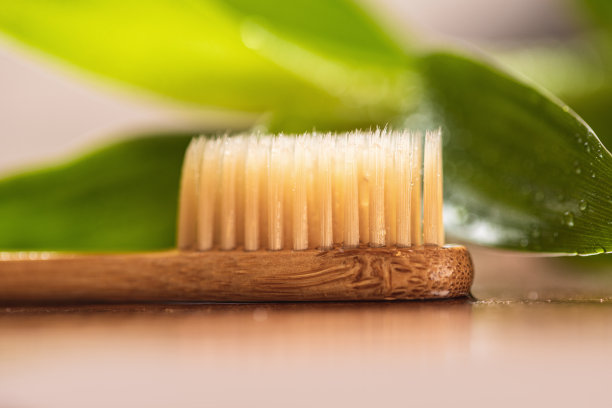竹制植物和环保牙刷图片下载