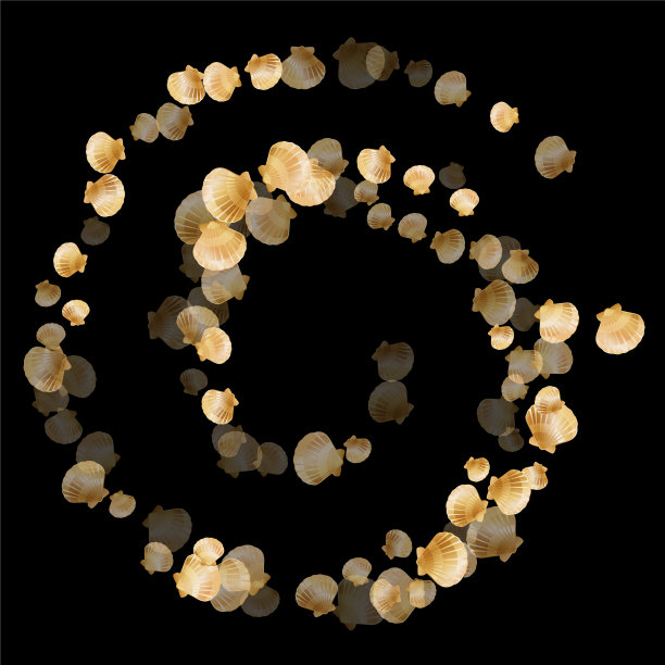 金贝壳孤立珍珠双壳软体动物图片下载