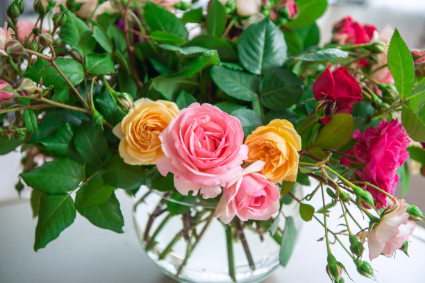 桌子上有美丽的玫瑰图片下载