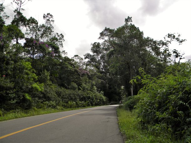 美丽的乡村风景图片下载