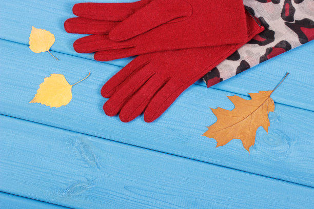 女乘客的手套和披肩。秋天或冬天的衣服图片下载