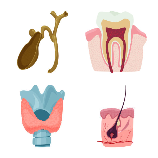 设计人体和人体标志图片下载
