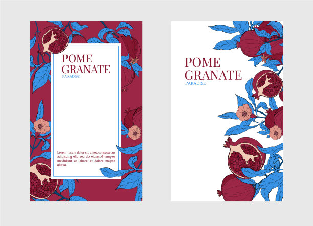 垂直横幅上有石榴果实图片下载