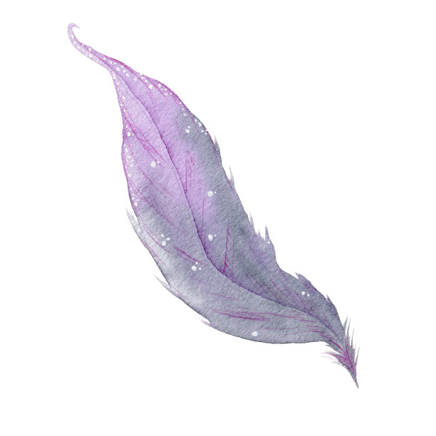 水彩羽毛手绘在纸上。微妙的水彩插图。放荡不羁的图片下载
