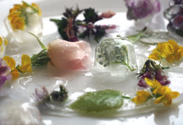 花瓣、花朵和叶子在水和冰中颜色柔和图片下载