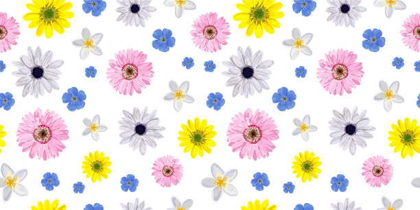 无缝花图案逼真的花朵春天图片下载