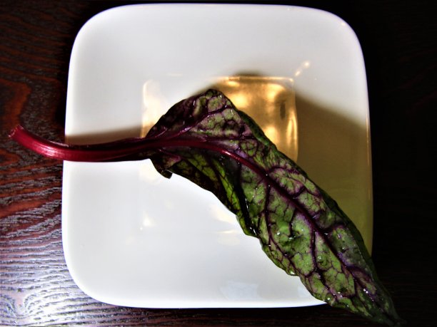 秃头艺术。图片下载