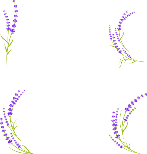 薰衣草花图标图片下载