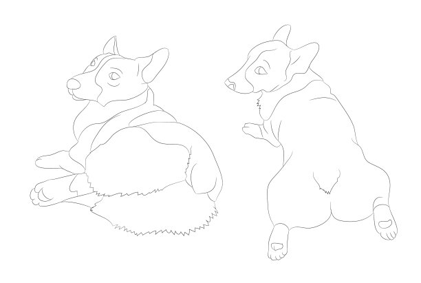 柯基犬画线图片下载