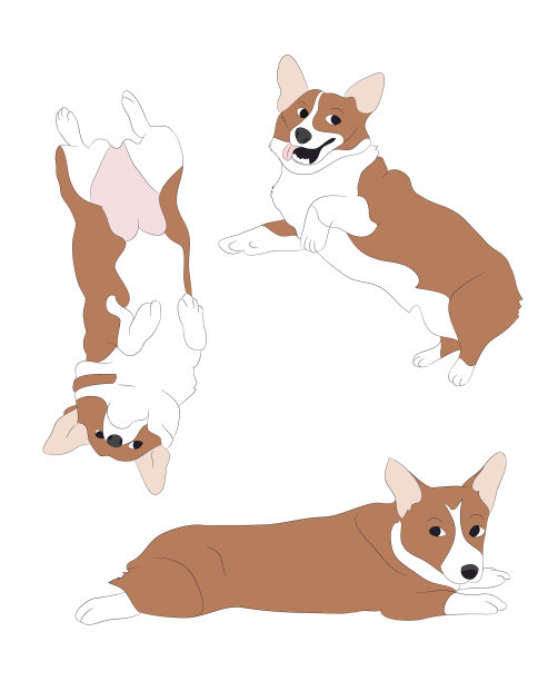 柯基犬彩绘图片下载