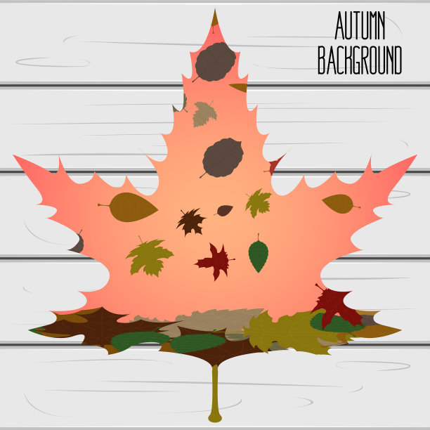 秋天背景图片下载