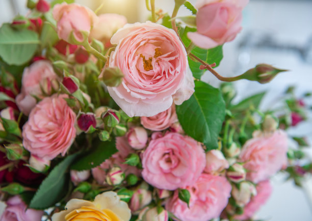 桌子上有美丽的玫瑰图片下载