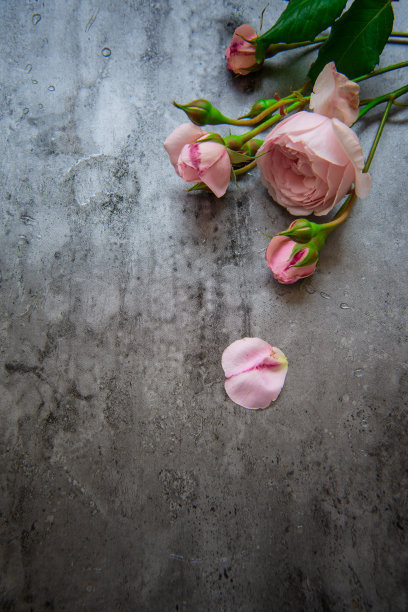 桌子上有美丽的玫瑰图片下载