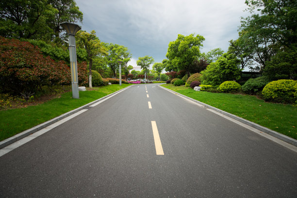 晴空万里，城市高速公路两侧绿树成荫图片下载
