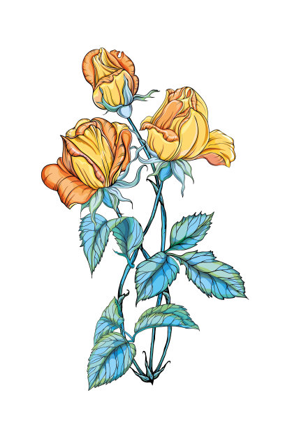 三朵美丽的黄玫瑰分开了图片下载