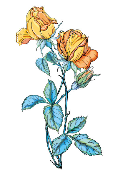 三朵美丽的黄玫瑰分开了图片下载