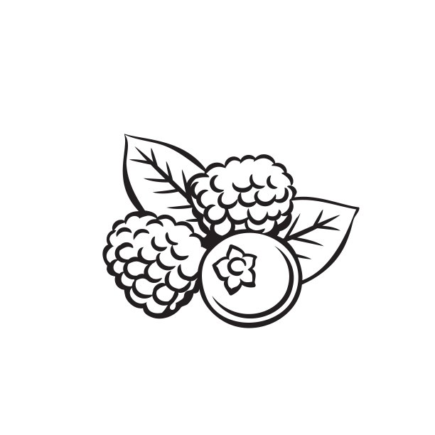 浆果果实轮廓图片下载