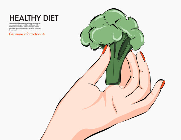 健康食品营养艺术，西兰花手握生酮食谱画。膳食学家推荐的新鲜蔬菜食品，营养学家推荐的有机食品。矢量图图片下载