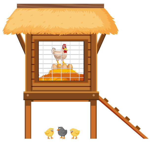 鸡笼，里面有鸡和鸡蛋图片下载