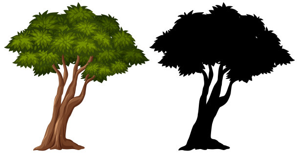 白色背景上的大树剪影照片图片下载