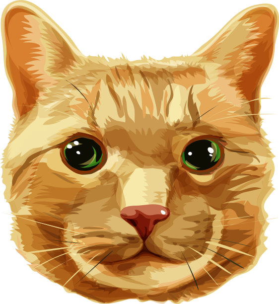 红色的猫头图片下载