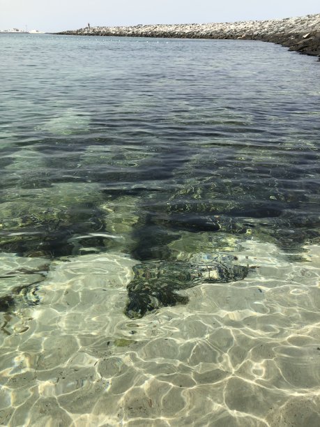 迪拜La Mer海滩图片下载