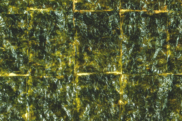 长方形紫菜片背景图片下载