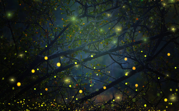 萤火虫在夜林中飞翔的抽象而神奇的形象。童话故事的概念。图片下载
