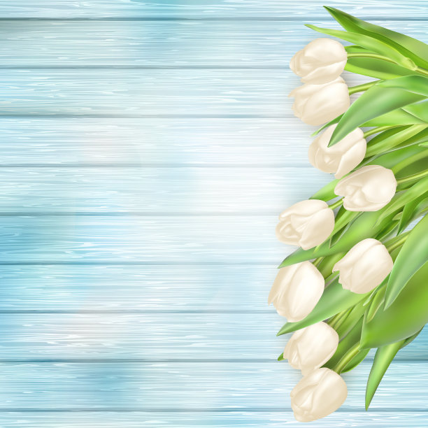 一束白色郁金香。每股收益10图片下载