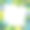 数字插图，植物背景，色彩丰富的热带棕榈叶，野生丛林叶框架与白色复制空间，贺卡模板图片下载