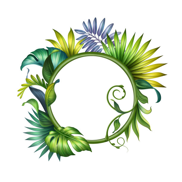 数字插图，热带花环与棕榈叶，植物背景，野生丛林树叶。圆形框架与复制空间，贺卡空白模型模板。图片下载
