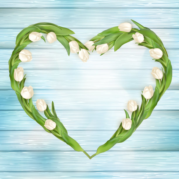 一束白色郁金香。每股收益10图片下载