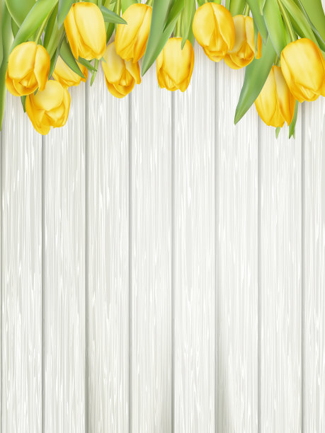 黄色的郁金香。每股收益10图片下载