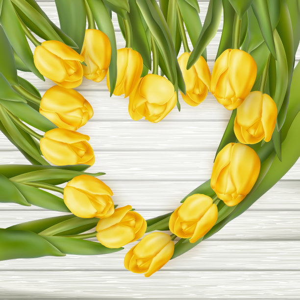 郁金香木20160327-5- 34图片下载