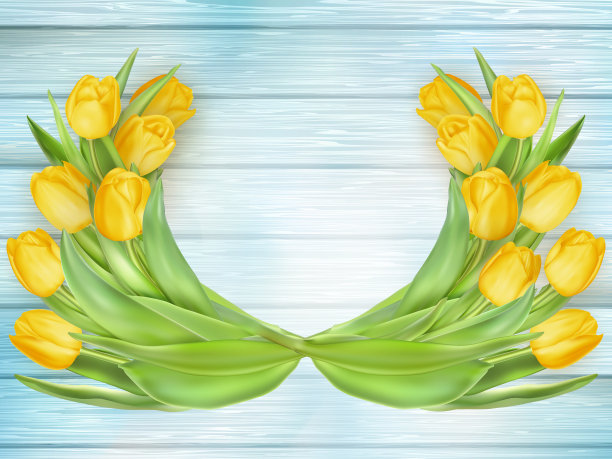 黄色的郁金香在木板上盛开。每股收益10图片下载