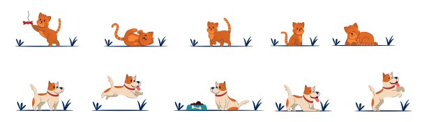 小猫小猫矢量人物漂亮的狗。图片下载