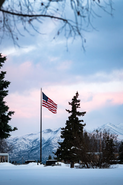 美国国旗在阿拉斯加安克雷奇的德莱尼公园飘扬。这张照片是在冬天的黎明拍摄的。图片下载