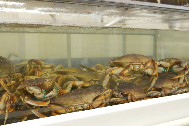 超市鱼缸里活螃蟹的动态图片下载