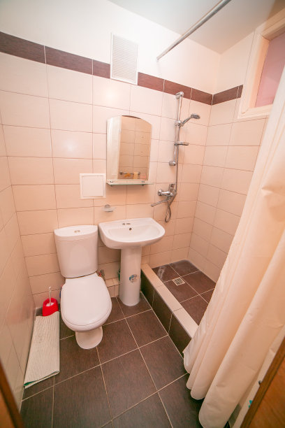 从内部看旧公寓，内饰，复古风格，旧浴室图片下载