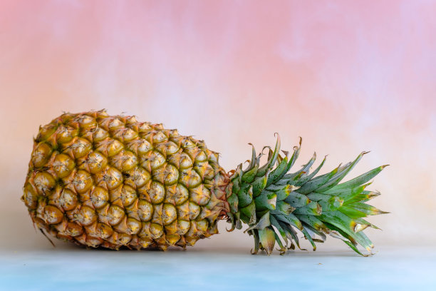 菠萝在一个明亮的背景与拷贝空间视图图片下载