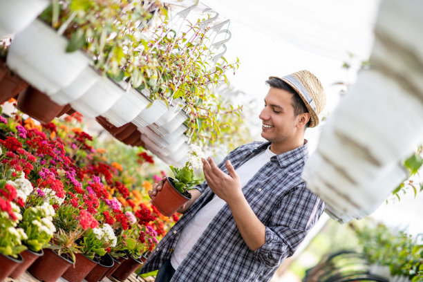 一个在园艺中心工作的年轻人。托儿所的植物。图片下载