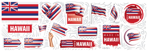 矢量组国旗的美国夏威州在不同的设计图片下载